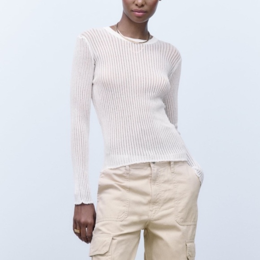 Zara Mesh/Woven long sleeve top
